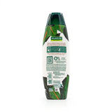 Palmolive Naturals Healthy Shine Shampoo ( White)