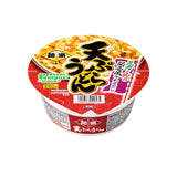 Hikari Menraku Tempura Udon